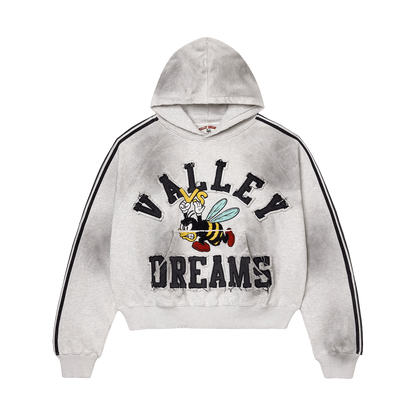 Vale Dreams Bee Grey hoodie SET