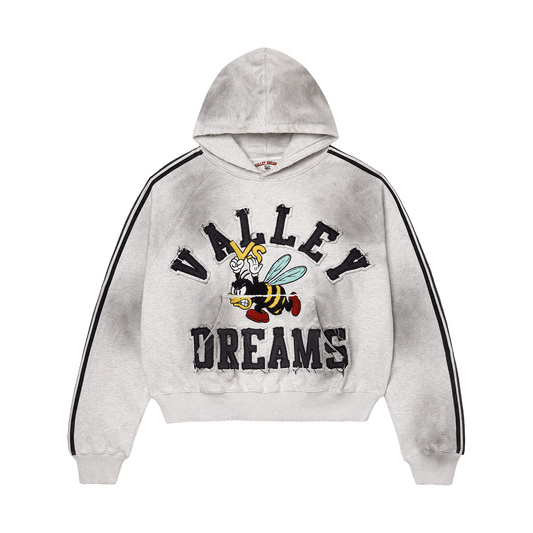 Vale Dreams Bee Grey hoodie SET
